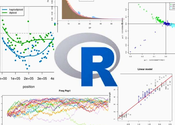 Advanced R for Ecology and Evolutionary Biology 2020-2021